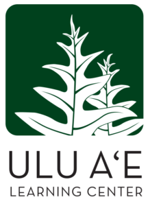 uluae logo main