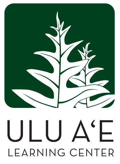 uluae logo main